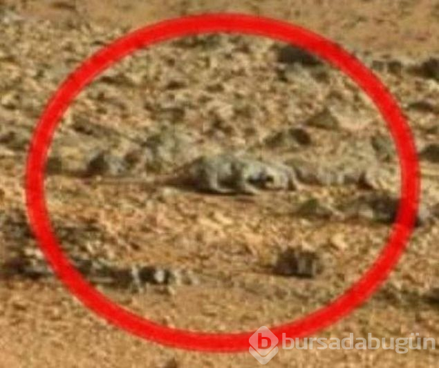Mars'ın esrarengiz fotoğrafları kafaları karıştırdı