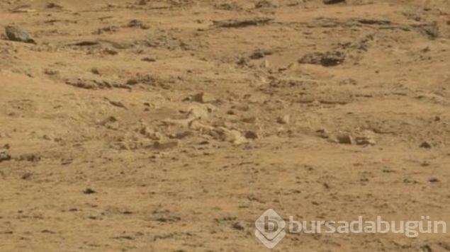 Mars'ın esrarengiz fotoğrafları kafaları karıştırdı