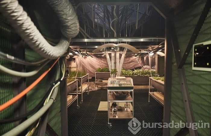 Mars'ın esrarengiz fotoğrafları kafaları karıştırdı