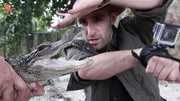 Timsaha kendini ısırttı