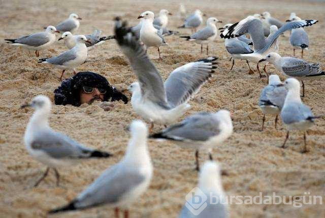 Günün en çok paylaşılan fotoğrafları