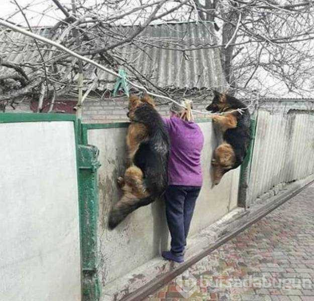 Günün en çok paylaşılan fotoğrafları