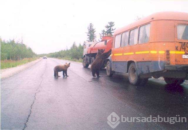 Günün en çok paylaşılan fotoğrafları