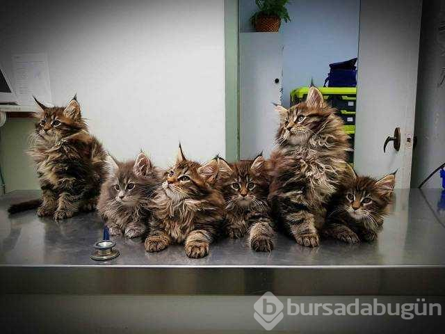 Günün en çok paylaşılan fotoğrafları
