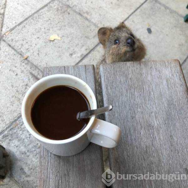 Günün en çok paylaşılan fotoğrafları