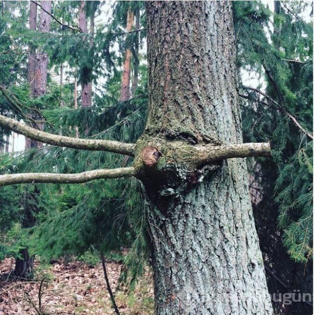 Günün en çok paylaşılan fotoğrafları