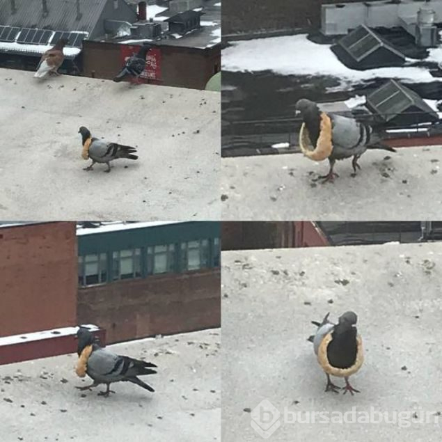 Günün en çok paylaşılan fotoğrafları