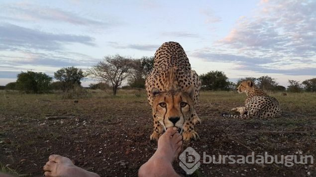 Günün en çok paylaşılan fotoğrafları