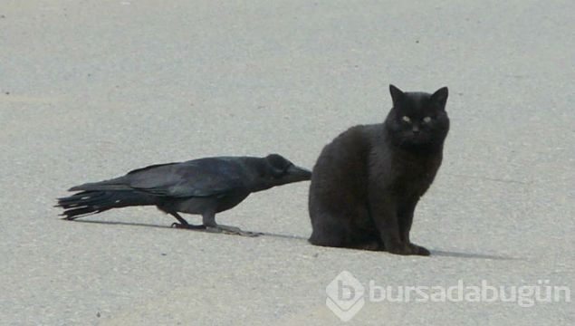 Günün en çok paylaşılan fotoğrafları