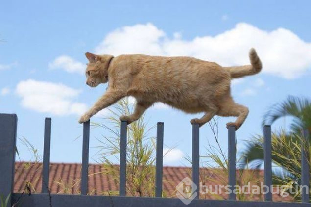 Günün en çok paylaşılan fotoğrafları