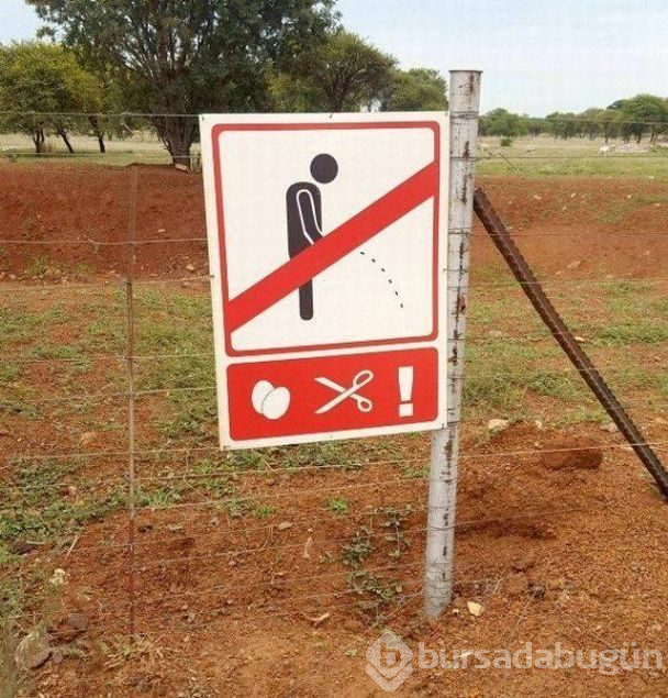 Günün en çok paylaşılan fotoğrafları