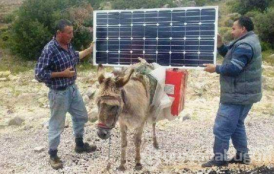 Türklerin dünyayı şaşırtan pratik zekası