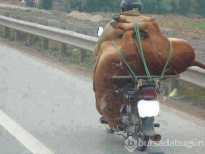 Motosikletle yük taşıyan insanların ilginç görüntüleri!
