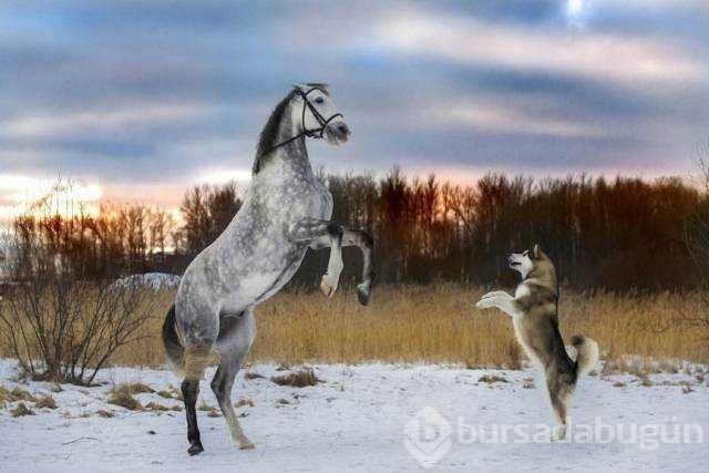 Günün en çok paylaşılan fotoğrafları
