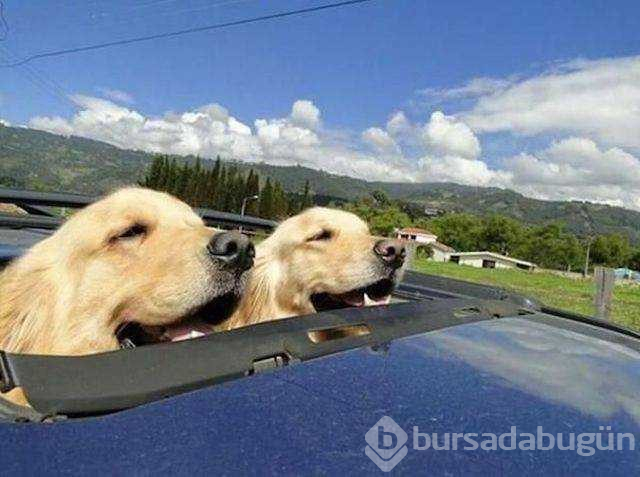 Günün en çok paylaşılan fotoğrafları
