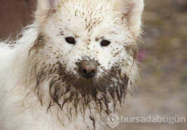 Günün en çok paylaşılan fotoğrafları
