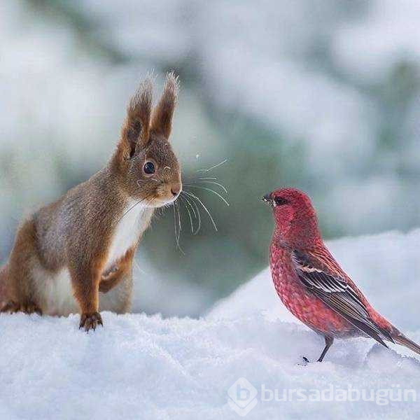 Günün en çok paylaşılan fotoğrafları
