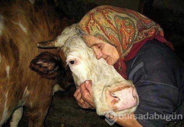 Günün en çok paylaşılan fotoğrafları
