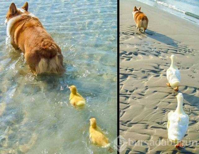 Günün en çok paylaşılan fotoğrafları
