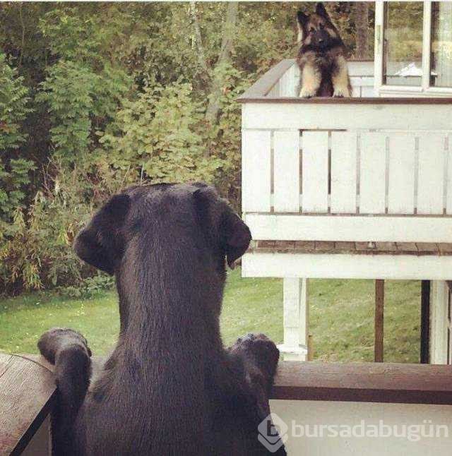 Günün en çok paylaşılan fotoğrafları
