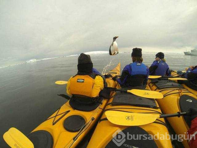 Günün en çok paylaşılan fotoğrafları

