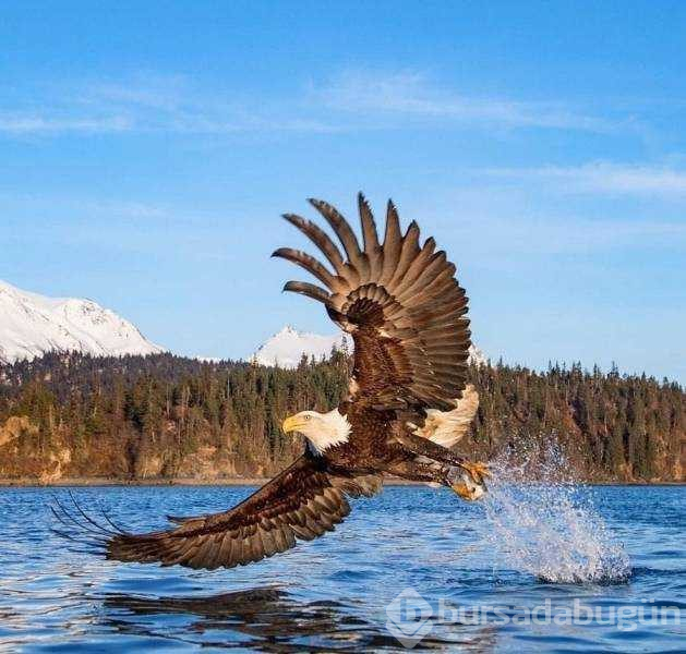 Günün en çok paylaşılan fotoğrafları
