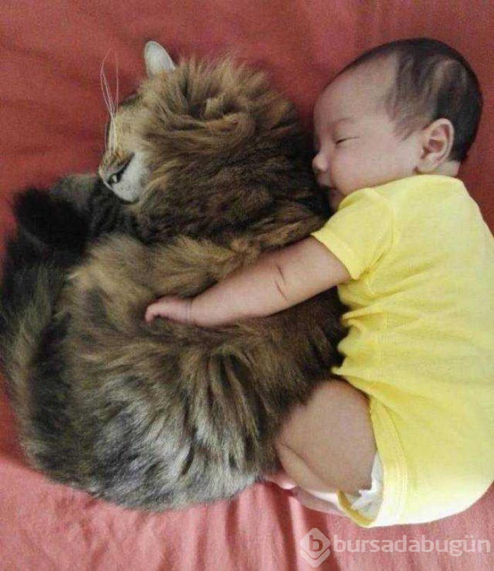Günün en çok paylaşılan fotoğrafları
