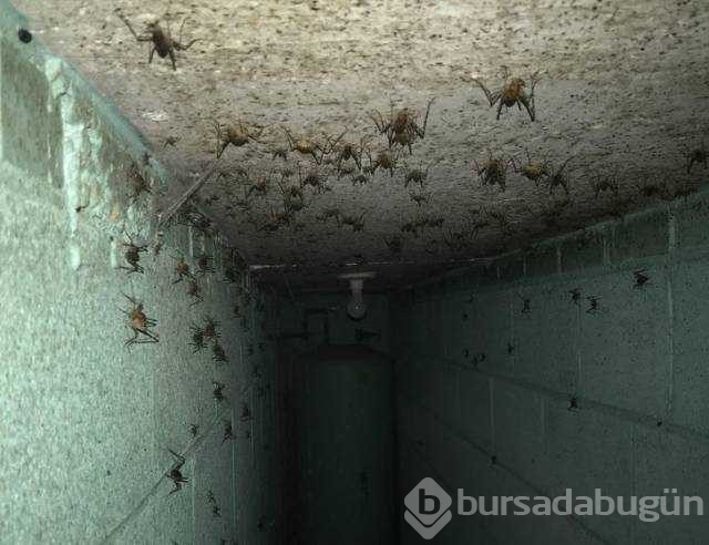 Günün en çok paylaşılan fotoğrafları
