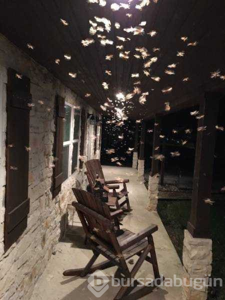 Günün en çok paylaşılan fotoğrafları
