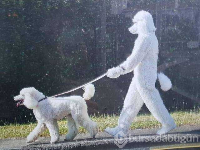 Günün en çok paylaşılan fotoğrafları
