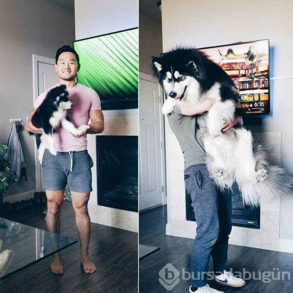 Günün en çok paylaşılan fotoğrafları
