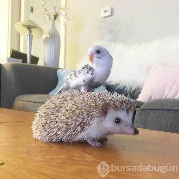 Günün en çok paylaşılan fotoğrafları
