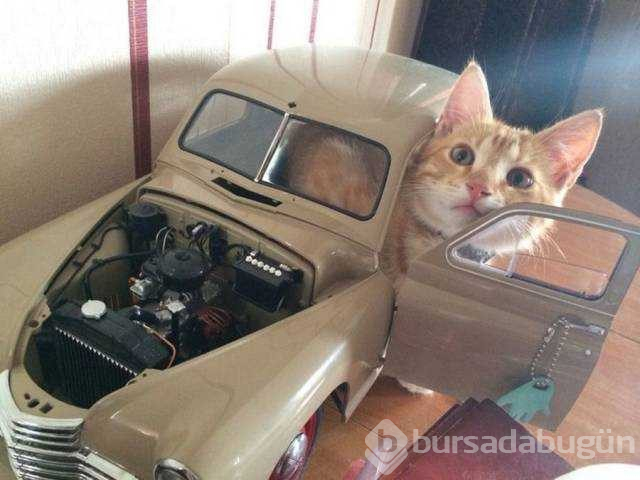 Günün en çok paylaşılan fotoğrafları

