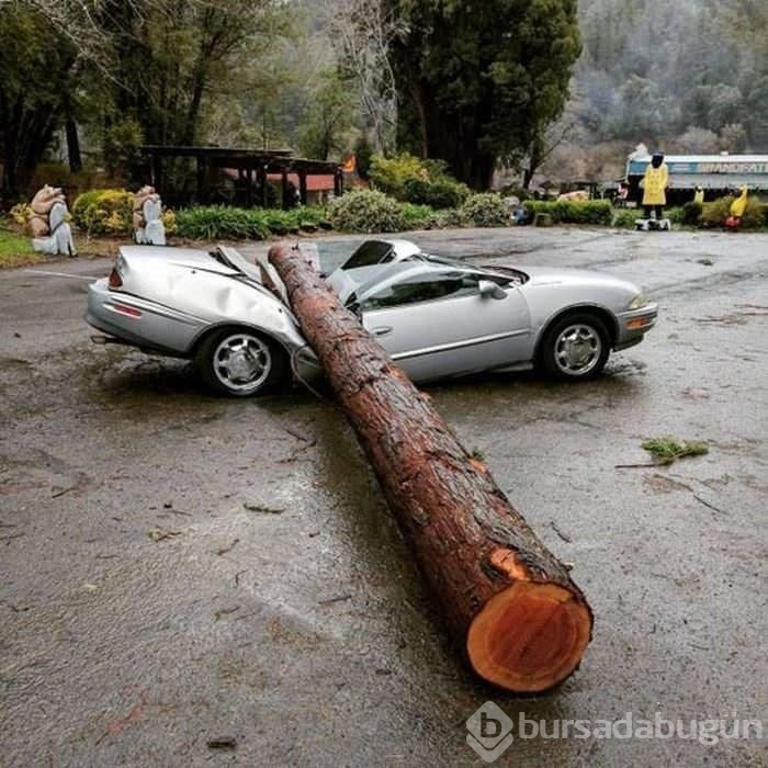 Hayrete düşüren kazalar