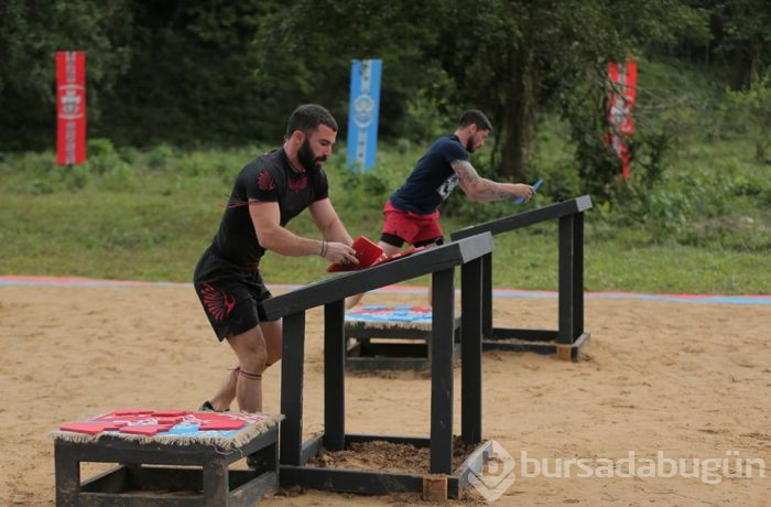 Survivor Turabi yaralandı (Altı dikiş)