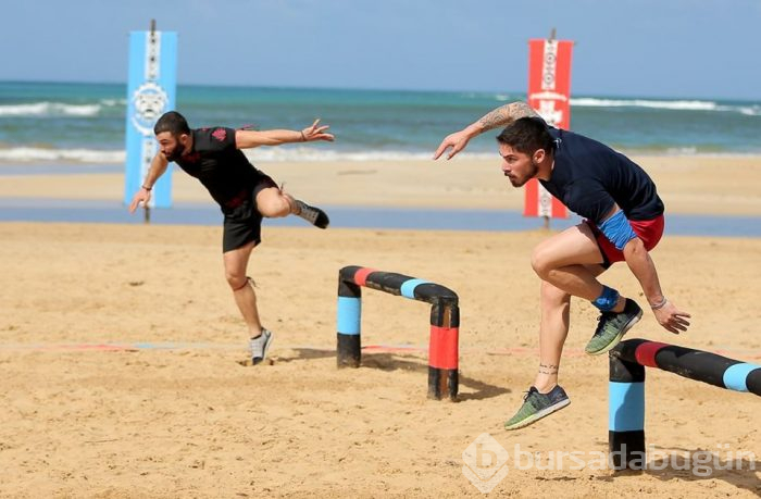 Survivor Turabi yaralandı (Altı dikiş)