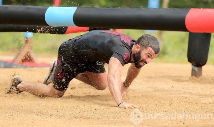 Survivor Turabi yaralandı (Altı dikiş)