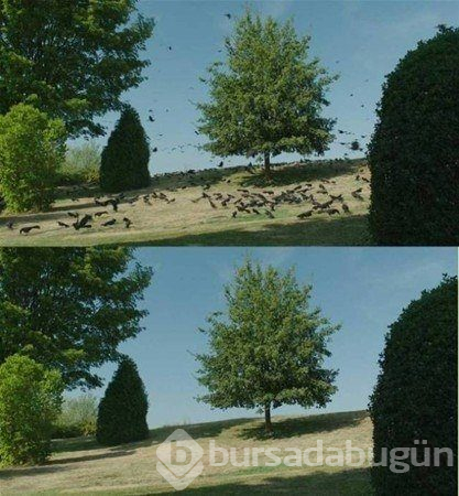 Film sahnelerinin gerçek yüzü