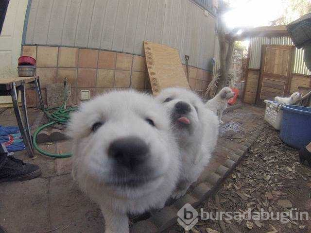 Günün en çok paylaşılan fotoğrafları