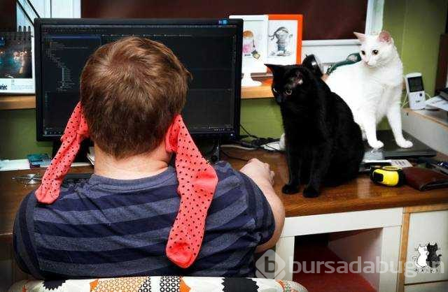 Günün en çok paylaşılan fotoğrafları