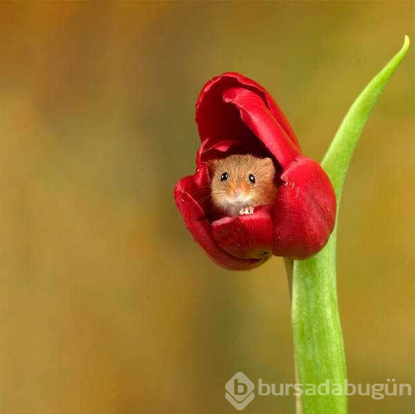 Günün en çok paylaşılan fotoğrafları
