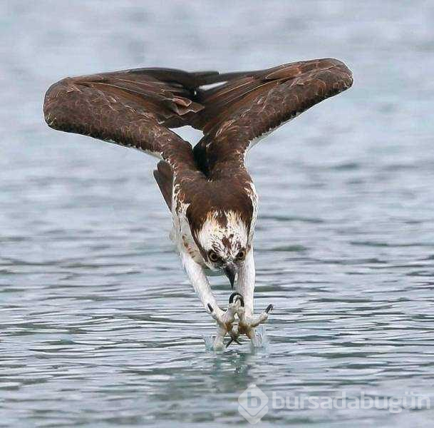 Günün en çok paylaşılan fotoğrafları
