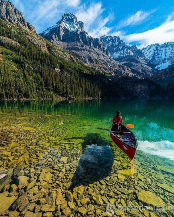 Günün en çok paylaşılan fotoğrafları