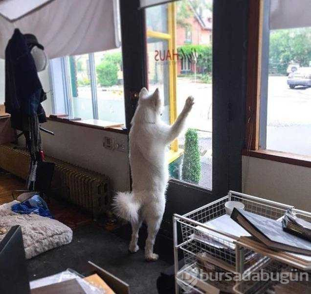 Günün en çok paylaşılan fotoğrafları