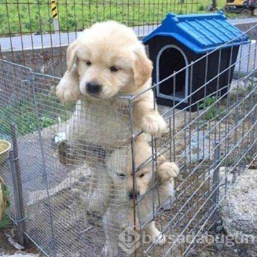 Günün en çok paylaşılan fotoğrafları