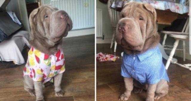 Günün en çok paylaşılan fotoğrafları
