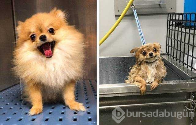 Günün en çok paylaşılan fotoğrafları
