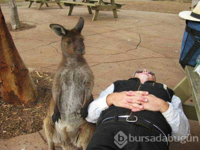 Günün en çok paylaşılan fotoğrafları
