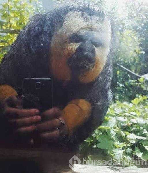 Günün en çok paylaşılan fotoğrafları