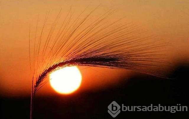 Günün en çok paylaşılan fotoğrafları